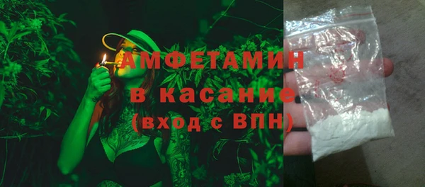 индика Вяземский